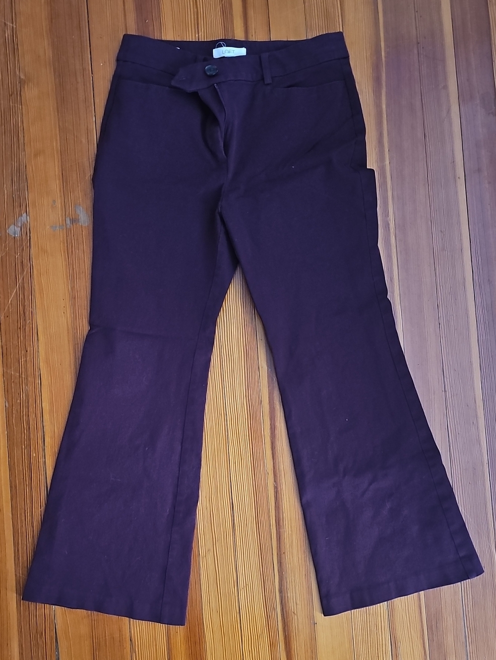 LOFT Women's Flare Jeans in Plum